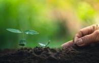 2018 plant lighting market reached 6.2 billion