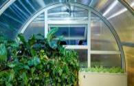2020 global smart lighting market will reach 59.1 billion USD