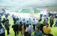 64 percent Indian consumers could not get the government-allocated LED bulbs
