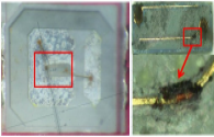 Analysis of dead LED lights