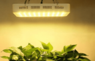 Application of full-spectrum LED lamps