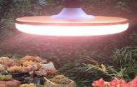 Application of full spectrum lamp beads in plant growth lamps