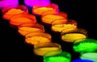 Application status of luminescent materials for high-quality white LED light sources