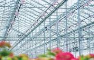 Canadian growers to adopt spectrally controllable LED lighting solutions
