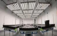 Challenges and opportunities for the development of the plant lighting LED market