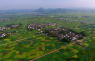 China's Guangxi and Austrian Burgenland deepen multi-field practical cooperation