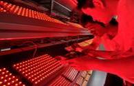China's special LED light source technology research progress