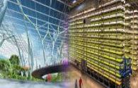 Chinese company launched an improved version of the indoor high-tech "smart farm"