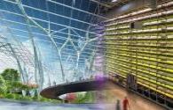 Chinese company unveils revamped version of indoor high-tech 'smart farm'