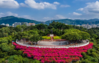 Denggaoshan Park Lighting Project in Meichuan Town, Huanggang City, Hubei Province
