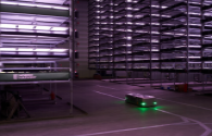 Denmark's super large vertical farm LED lights all-weather lighting