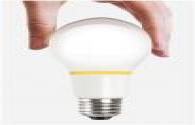 ENELTEC launched a new all-plastic LED Bulb