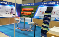 Everlight and National Taiwan University develop LED lights for grouper