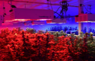 Features and advantages of ENELTEC grow Light LED