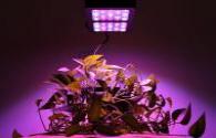 Features of Full Spectrum LEDs