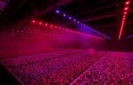 High-tech farms use LED light sources
