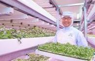 Highest LED lighting penetration rate in Japan