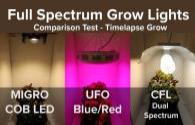 How is the development status and trend of plant lighting?