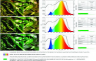In-depth discussion of the secrets of LED plant light spectral data