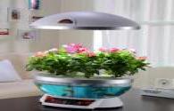 Intelligent flower pots are equipped with LED grow light