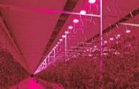 Inventronics accelerates the development of plant LED lighting market