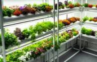 LED plant lighting requirements are higher
