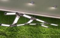 LED enterprises to improve the white light in the red light emission material