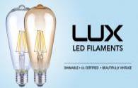 LED filament lamp Market Development