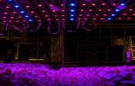 LED grow lighting market in China