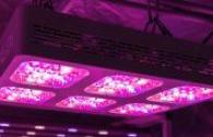 LED grow lights have many benefits