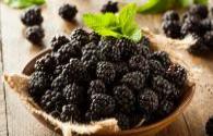 LED helps consumers eat summer wild berries in winter