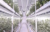LED lighting business pressure is growing