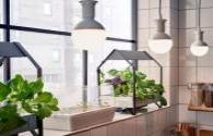 LED lighting export boom continued good