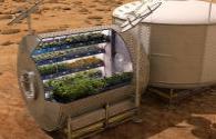 LED plant growth chambers so that everyone eat healthy vegetables