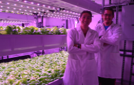 LED plant growth lamp global market development status overview