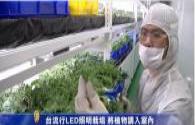 LED plant lighting popular in Taiwan