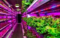 LEDs provide spectral output control for horticultural applications