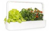 Leverage LED lighting smart indoor planting system to provide fresh vegetables all year round