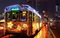 Liaoning Tieling Diaobingshan City installs street lights to illuminate the countryside