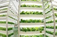 Multinational enterprises layout LED grow light
