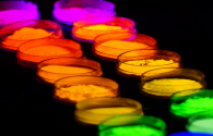 Nanjing University has made important progress in the field of high-efficiency and stable white LED research