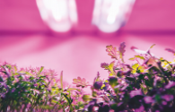 New business opportunities in outdoor LED lighting