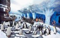 Penguins theme park uses LED lighting simulating Antarctic natural light