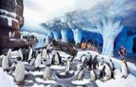 Penguins theme park uses LED lighting simulating Antarctic natural light