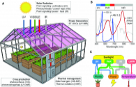 Plant growth is spectrally selective