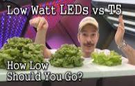 Plenty intends to use LED light to grow organic vegetables in China