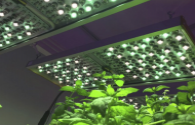 Research on Plant Lighting Technology