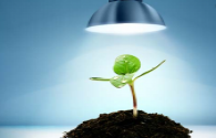 The LED plant lighting market is the future development direction