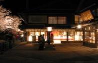 The development status of Japan's LED lighting industry