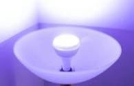The future of global LED products is dominated by lighting